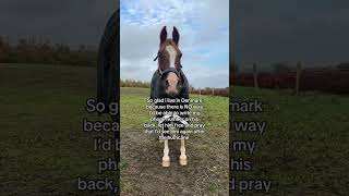 💔❤️‍🩹 horse pferde horses equestrian pony hurricane florida love cheval hest trending [upl. by Arimahs]