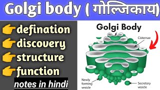 golgi body structure and function in hindi cell biology bsc biology [upl. by Huey]