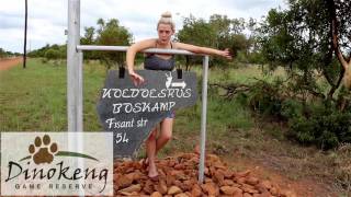 KoedoesRus Bush Camp  Dinokeng Game Reserve  Gauteng [upl. by Eedrahs]