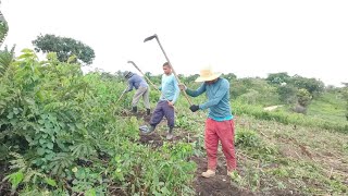 a lida diária de um jovem agricultor [upl. by Silrak525]