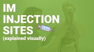 HOW TO GIVE IM INJECTIONS  sites considerations nursing care for nurses [upl. by Nee655]