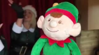 Christmas Elf Tour of Santas Grotto at Stockeld Park [upl. by Annatsirhc]