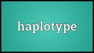 Haplotype Meaning [upl. by Hachmann]