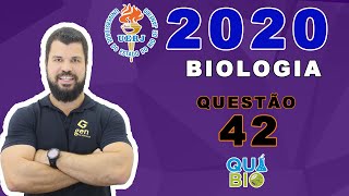 UERJ 2020  2o EQ  Questão 42  No chamado doping sanguíneo atletas retiram determinado volume de [upl. by Eentruoc]