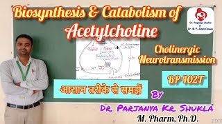 Biosynthesis and Catabolism of Acetylcholine  Cholinergic Transmission  BP 402T [upl. by Eiaj]