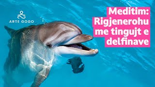 Meditim Rigjenerohu me tingujt e delfinave [upl. by Temple]