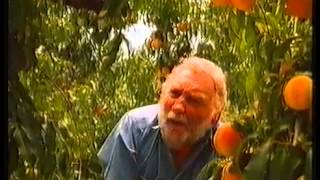 Goulburn Valley Fruit  Australian Ad 1991 [upl. by Haela72]