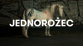 Sokół  Jednorożec Official Video [upl. by Jennette]