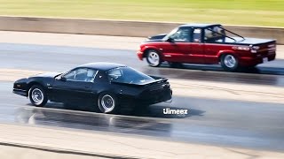 VADER TRANS AM F2 PROCHARGED 400SBC 89 TA DRAG RADIAL RUNS 81417821MPH [upl. by Adnoryt]