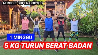 AEROBIK PENURUNAN BERAT BADAN SUPER CEPAT [upl. by Adahsar322]