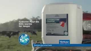 Cydectin PourOn  Dairy Cattle [upl. by Ahsihat491]