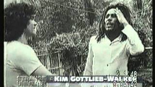 Who Killed Bob Marley Documentary  Strange Universe Documentary [upl. by Akemat]