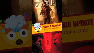 🤯 Pushpa 2 Big Update  Movie Review  shorts [upl. by Ived608]