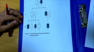 Module 03  Pactical Genetics  Ahmed Nawar [upl. by Airt650]