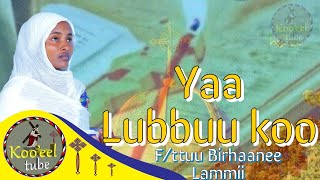 📌 new Yaa Lubbuu koo Fttuu Birhaanee Lammii Faaruu Gaabbii Afaan Oromoo [upl. by Adriel161]