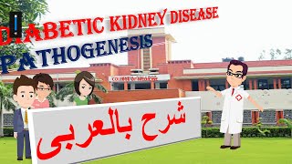 DIABETIC NEPHROPATHY PATHOPHYSIOLOGY شرح بالعربى [upl. by Arved641]