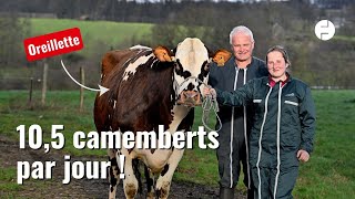 Ce quil faut savoir sur Oreillette la vache normande égérie du Salon de lAgriculture [upl. by Barbuto121]