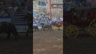 National high school rodeo finals 2024 NHSRA rodeo Quanta Carriage🐐 Sponsors [upl. by Doralin]