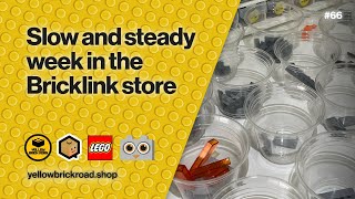 Slow and Steady Week in the Bricklink Store  LEGO Bricklink Vlog 66 [upl. by Toor]