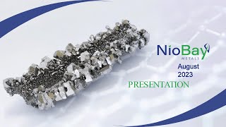 NioBay Metals Inc OTCQB NBYCF  TSXV NBY Virtual Investor Conferences [upl. by Mikaela]