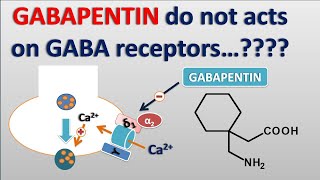 Gabapentin do not acts on GABA receptors is it true [upl. by Aihtnamas]