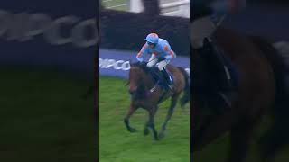 Throwback to 2018 and this incredible win from UN DE SCEAUX in the Clarence House Chase 🤩  shorts [upl. by Robinson236]