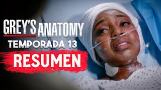 GREYS ANATOMY Temporada 13 RESUMEN EN 1 VIDEO [upl. by Munsey]