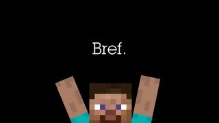 Bref Jai joué à Minecraft [upl. by Ahsema]