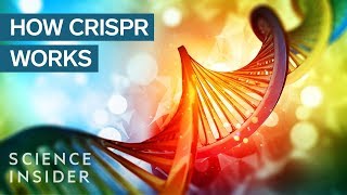 CRISPR DNA Editing System In 90 Seconds [upl. by Casandra]