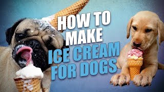 How to Make Dog Ice Cream adjustable and easy to make [upl. by Airres]