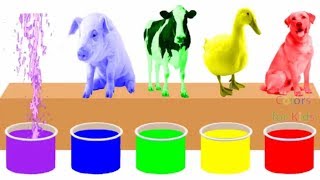 Farm Animals Bathing Colors Fun  Learn Colors for Children Kids Toddlers To Learn With Animals [upl. by Adli]