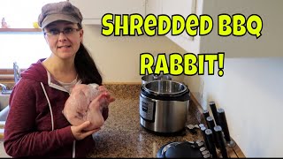 Instant Pot Recipe  Cooking a Whole Frozen Rabbit in 30 minutes BBQ Shredded Rabbit [upl. by Kenta]