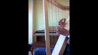 You played by Harpsicle Harp [upl. by Salokin169]