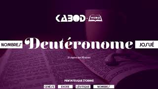 « Deutéronome »  LAncien Testament  La Sainte Bible audio VF Complète [upl. by Ahsennek888]