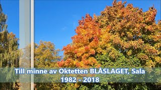 Oktetten Blåslaget Sala [upl. by Hnahym]