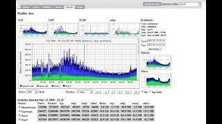 How to setupconfigure NFsen on CentOS 7 Server [upl. by Waverley]