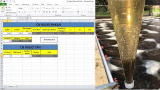 menghitung CN rasio budidaya bioflok berdasarkan pakan dan test kit ammonia [upl. by Yarrum]