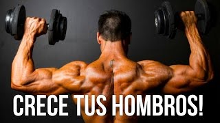 Los 3 Mejores Ejercicios Para Hombro [upl. by Maurilia119]