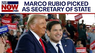 Trump cabinet Marco Rubio expected to be named as Secretary of State  LiveNOW from FOX [upl. by Ecirum324]