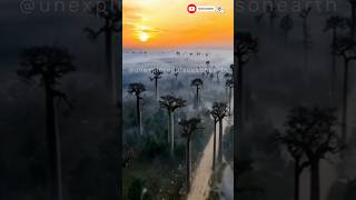 Unexplored Places On Earth🌎❤️shorts youtubeshorts travel nature madagascar [upl. by Mall313]