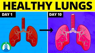 If You Want Healthy Lungs Do THIS Every Day for 30 Days ❗ [upl. by Bueschel]