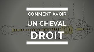 Comment avoir un cheval DROIT [upl. by Francyne912]