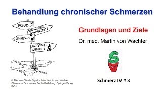 Behandlung chronischer Schmerzen  Grundlagen und Ziele [upl. by Nereus]