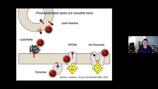 Optical control of Sphingosine1phosphate formation and function  Mar 22 2021 [upl. by Lubin558]