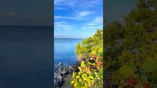 Where the Sky Meets the Sea Biscayne’s Oceanic Vistas [upl. by Sussi]