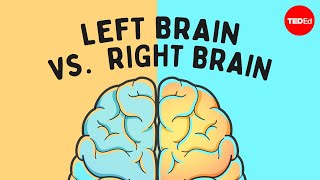 The left brain vs right brain myth  Elizabeth Waters [upl. by Atikel]