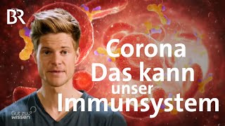 Corona Wie werde ich immun  Coronavirus  BR [upl. by Gladis]