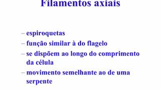 Aprenda Plugado  BACTERIOLOGIA  Aula 01 Slide 19 Filamentos axiais [upl. by Dorr]