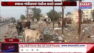 કચ્છના ગાંધીધામમાં ગંદકીના કારણે હાલાકી  Gandhidham Sanitation Issue Kutch News Civic Problems [upl. by Acilef]