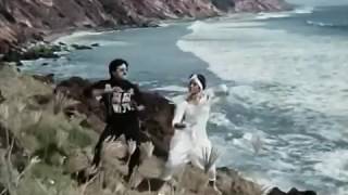 Radha radha madhilona mallela badha  State Rowdy  Rada Rada Song [upl. by Sylvie]